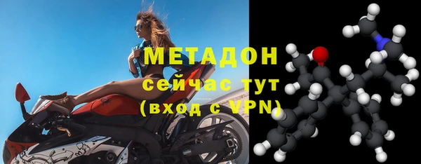 прущие грибы Алексеевка