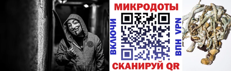 Псилоцибиновые грибы прущие грибы Боготол