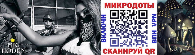 блэк спрут как зайти Боготол Галлюциногенные грибы Cubensis